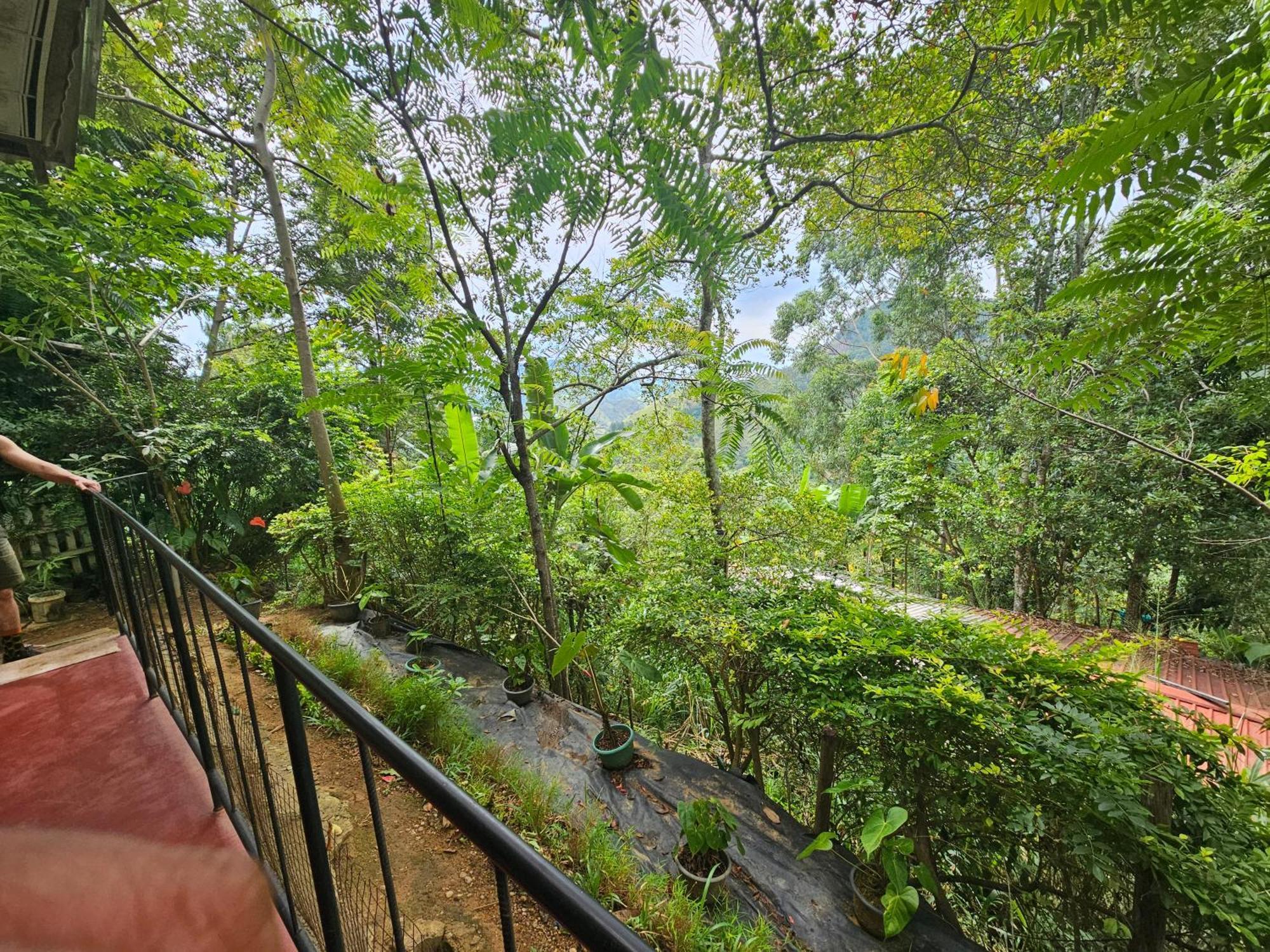 Opal Cottage เอลลา ภายนอก รูปภาพ