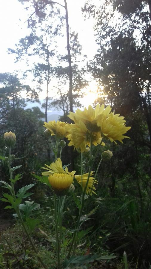 Opal Cottage เอลลา ภายนอก รูปภาพ